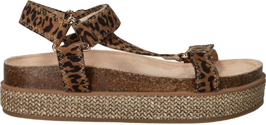 POSH by Poelman Sandalen Dames Bruin