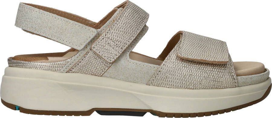 XSENSIBLE Sandalen Dames 30700.5 Maat: 42 Materiaal: Leer Kleur: Beige - Foto 2