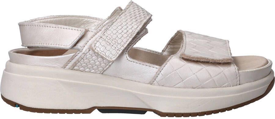 Xsensible Aruba Sandalen Dames Zilver
