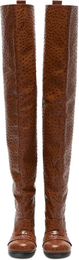 Acne Studios 100 mm stiletto laarzen met struisvogelprint Bruin - Foto 2