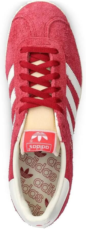 Adidas Gazelle sneakers Rood - Foto 4