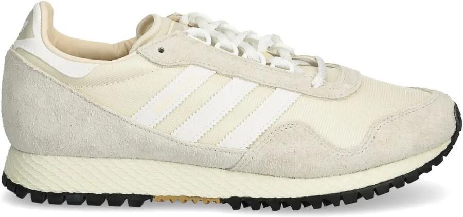 Adidas Terrex Agravic Speed sneakers Grijs