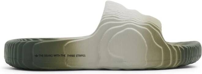 Adidas x Sean Wotherspoon Gazelle Indoor hennep sneakers Groen