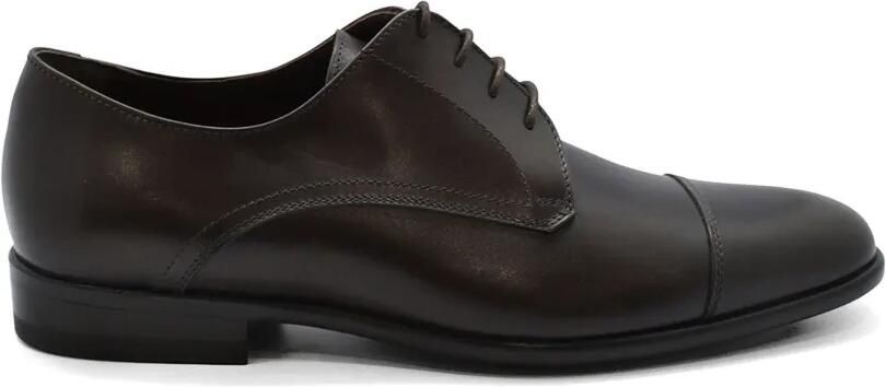 Alberto Fasciani Veterschoenen met ronde neus Bruin
