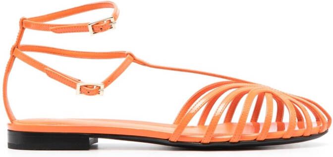 Alevì Sandalen met lage hak Oranje