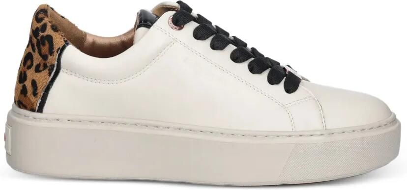 Alexander Smith London sneakers met luipaardvlak Beige