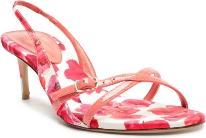 Alexandre Birman Maia 60mm sandalen met bloemenprint Roze