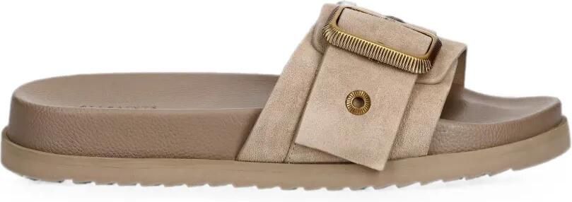 AllSaints Ellie slippers met gespdetail Beige