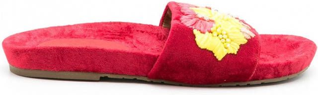 Amir Slama Fluwelen slippers Rood