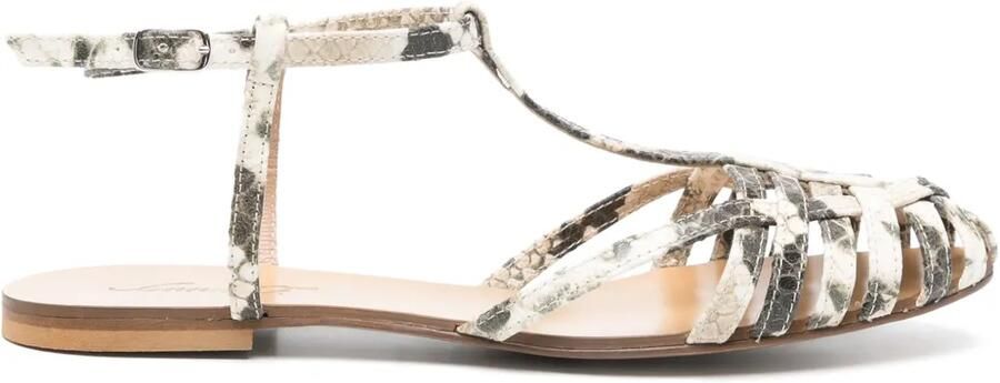 Anna F. Ballerina's met pythonprint Beige