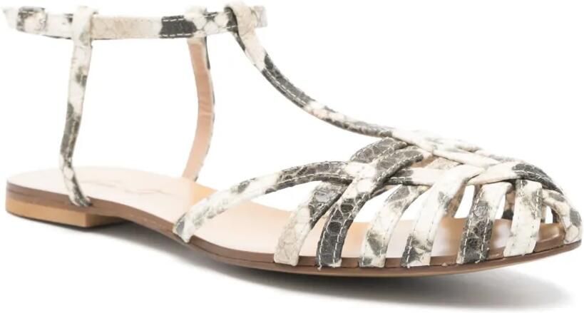 Anna F. Ballerina's met pythonprint Beige - Foto 2