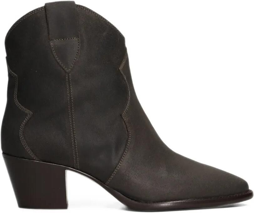 Anna F. western-style pointed-toe ankle boots Bruin