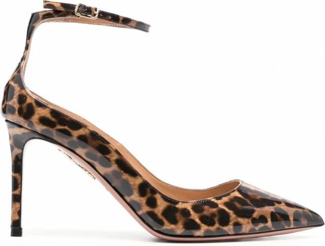 Aquazzura Pumps met luipaardprint Bruin