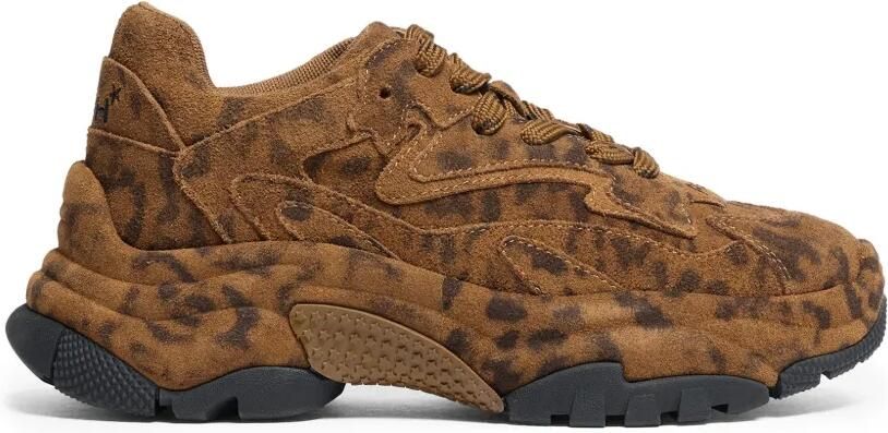 Ash Addict Bis low-top sneakers met luipaardprint Bruin