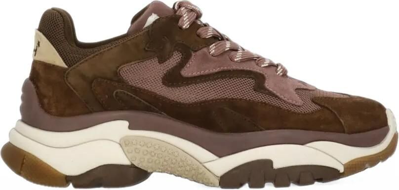 Ash Addict sneakers met vlakken Bruin