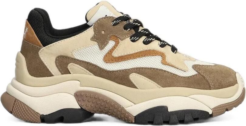 Ash Addict sneakers met chunky zool Bruin