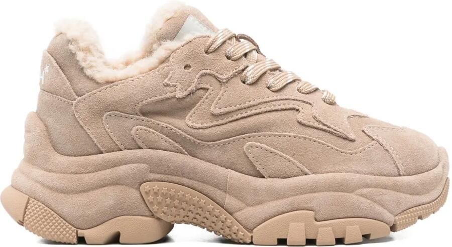 Ash Addict sneakers met vlakken Bruin