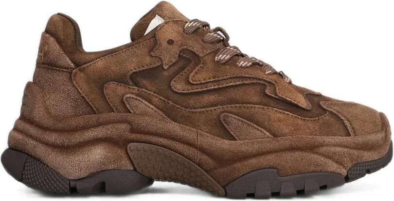 Ash Addict sneakers met vlakken Bruin