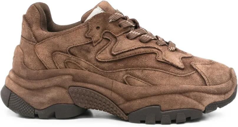 Ash Addict sneakers met vlakken Bruin