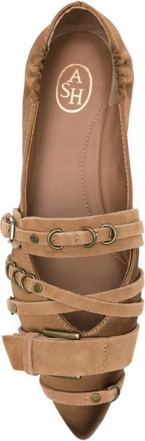 Ash Ballerina's met puntige neus en strik detail Bruin - Foto 4