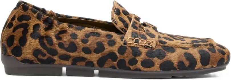 Ash Barkley loafers met luipaardprint Bruin