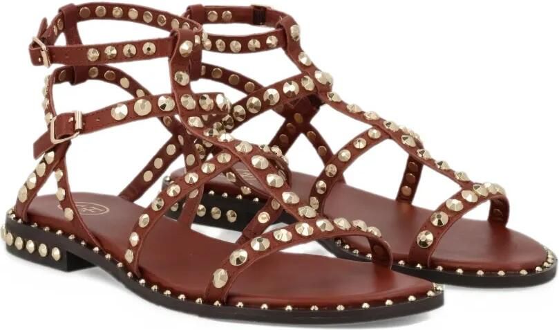 Ash cage-design studded sandals Bruin