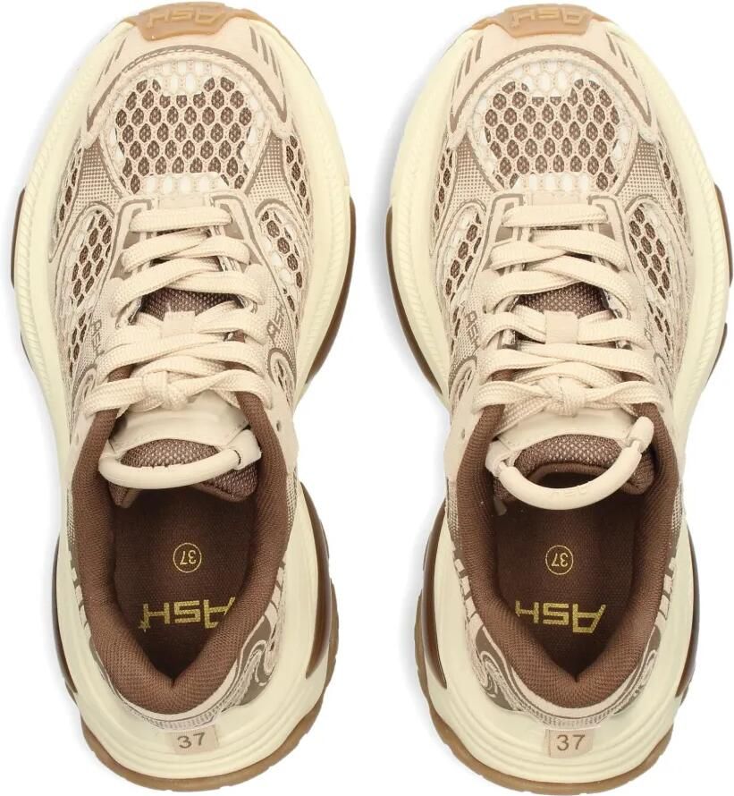 Ash Dragon chunky sneakers Bruin - Foto 2