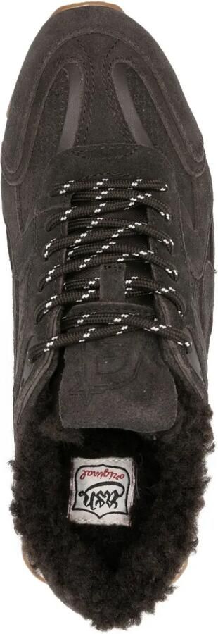 Ash Kasar sneakers Grijs - Foto 4
