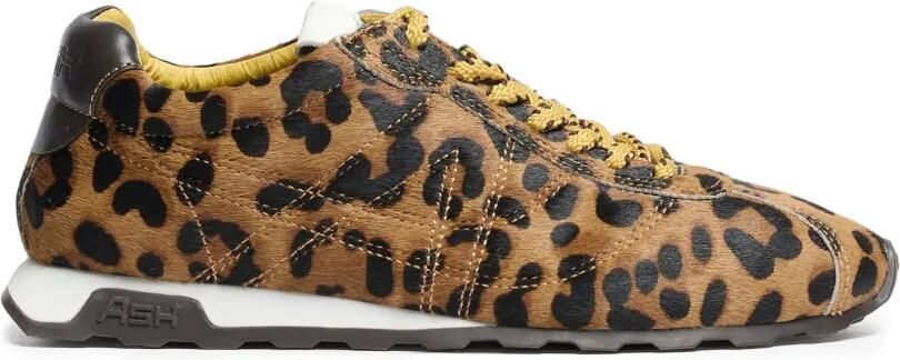 Ash Killbill leopard-print sneakers Bruin