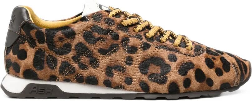 Ash Killbill sneakers met luipaardprint Bruin