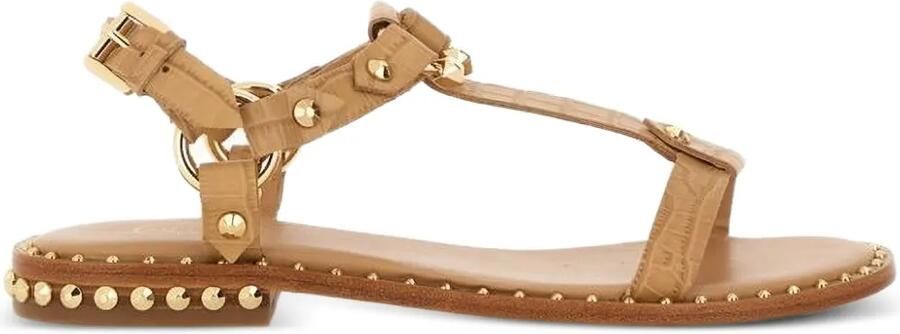 Ash Patsy Bis leren sandalen met studs Bruin