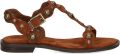 Ash Phanny sandalen met studs Bruin - Bruin
