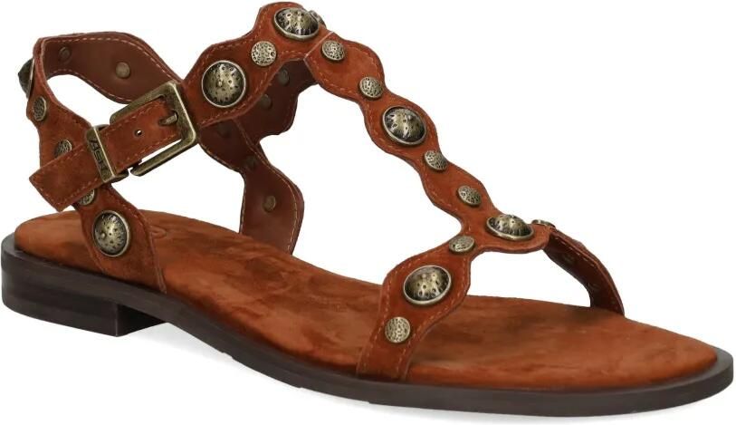 Ash Phanny sandalen met studs Bruin - Foto 4