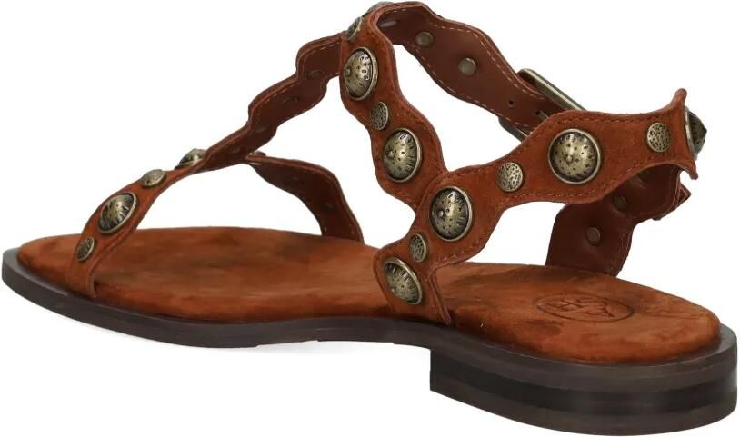 Ash Phanny sandalen met studs Bruin - Foto 3