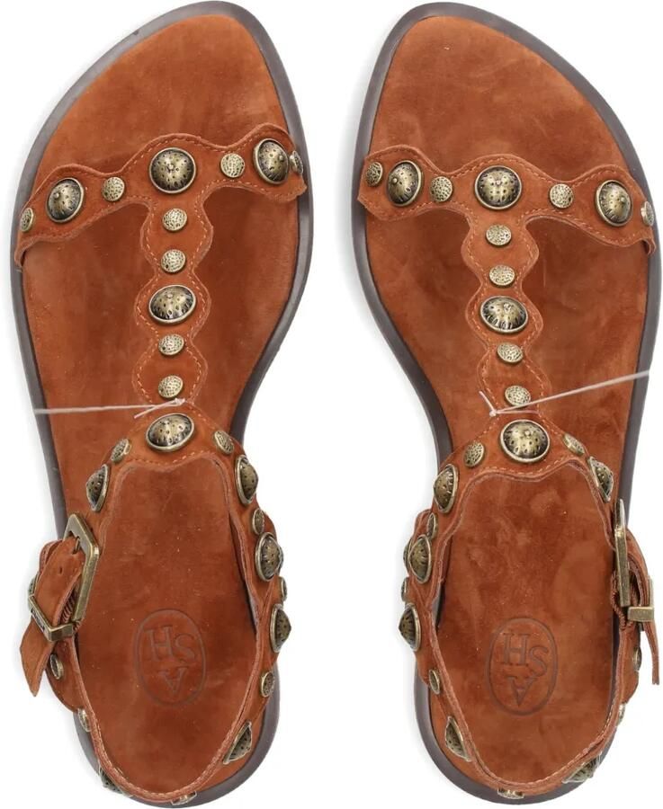 Ash Phanny sandalen met studs Bruin - Foto 2