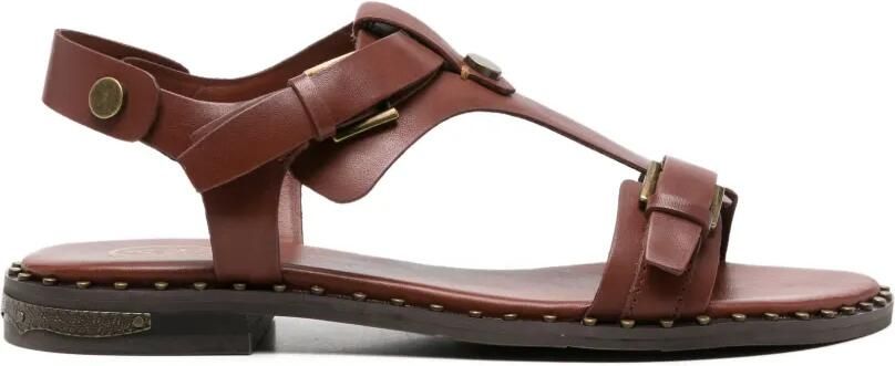 Ash Piper02 sandalen Bruin