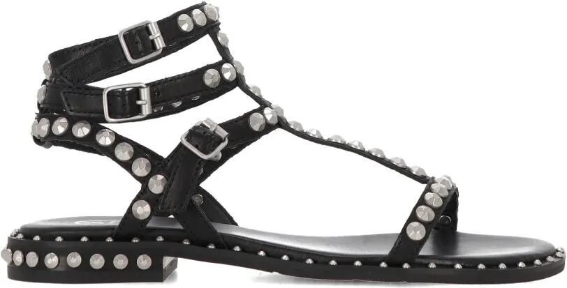 Ash Play leren sandalen met studs en gesp Zwart
