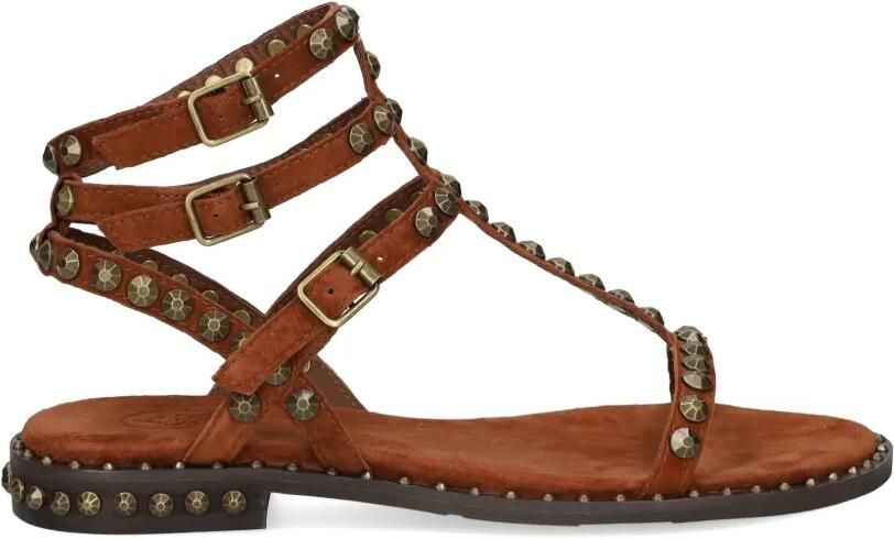 Ash Play sandalen verfraaid met studs Bruin