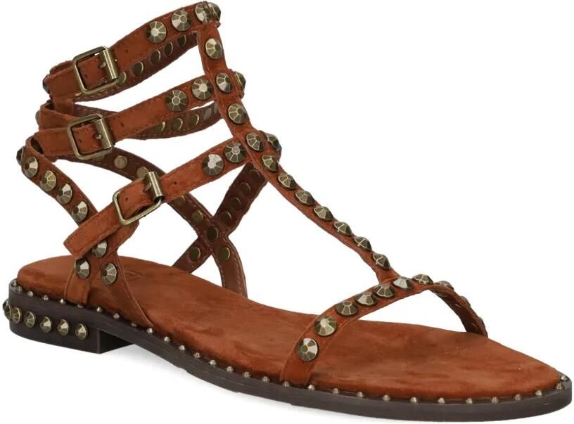 Ash Play sandalen verfraaid met studs Bruin - Foto 4