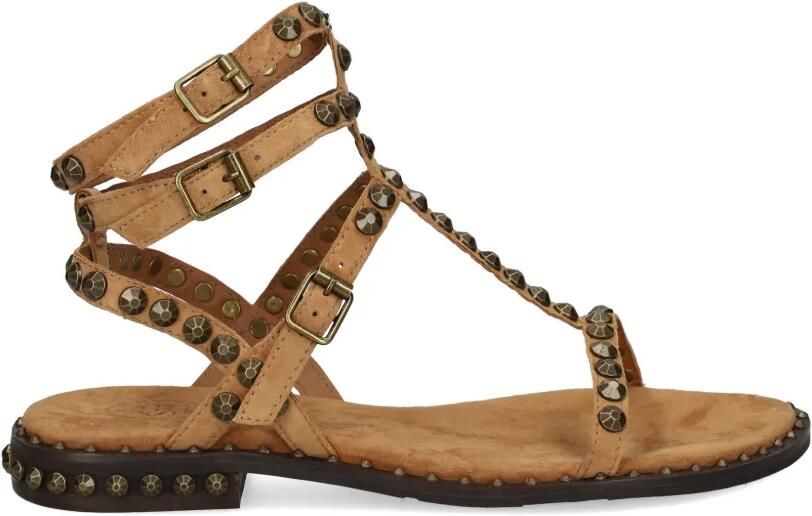 Ash Play sandalen verfraaid met studs Bruin