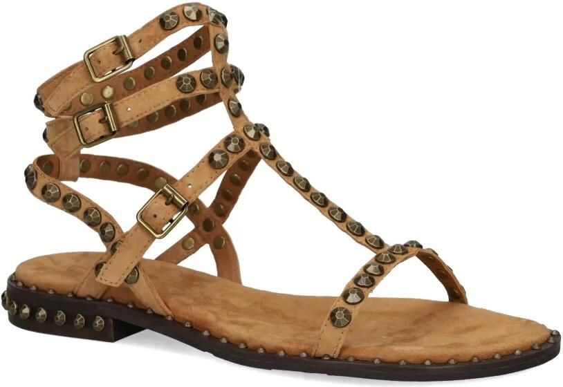 Ash Play sandalen verfraaid met studs Bruin - Foto 3