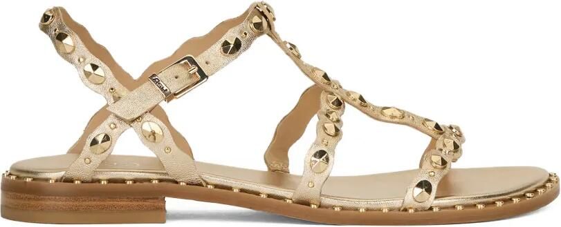 Ash Plus studded calf leather sandals Beige