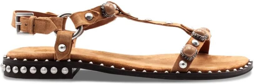 Ash Podium sandalen met studs Bruin
