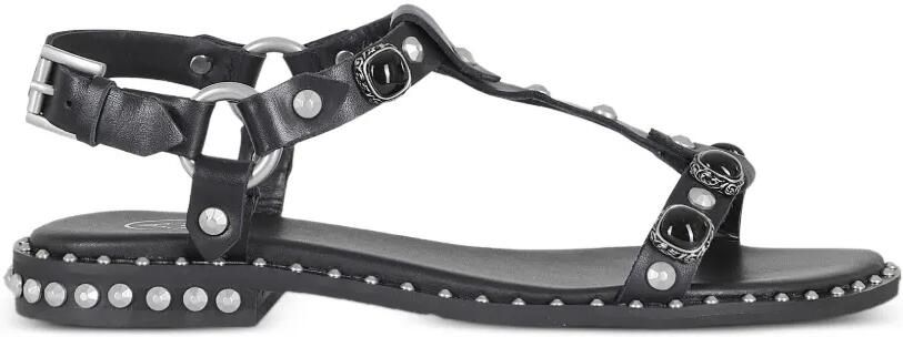 Ash Podium sandalen met studs en cabochon Zwart