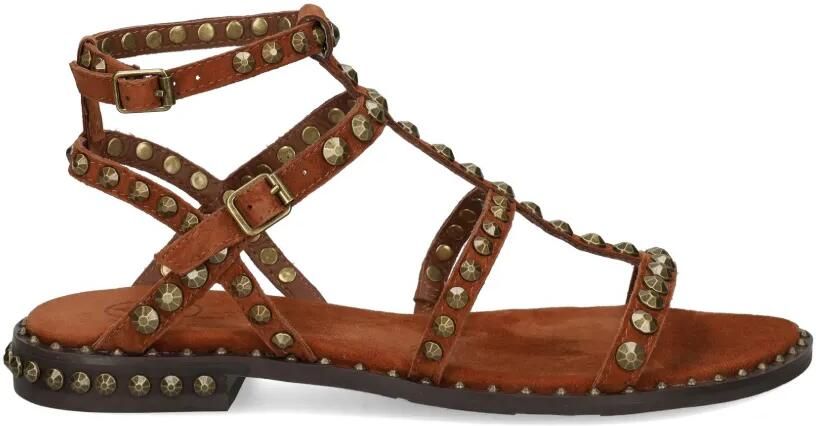 Ash Precious sandalen met studs Bruin