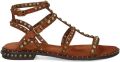 Ash Precious sandalen met studs Bruin - Bruin