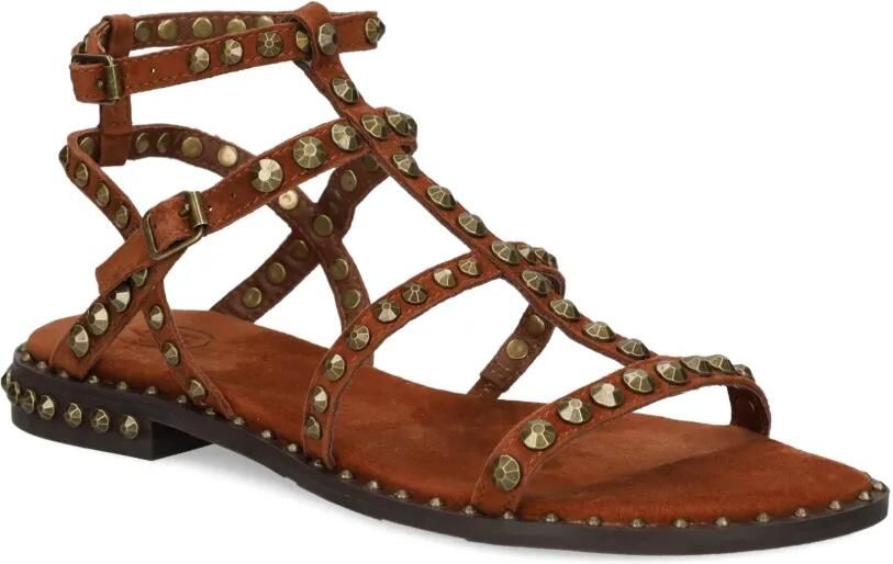 Ash Precious sandalen met studs Bruin - Foto 4