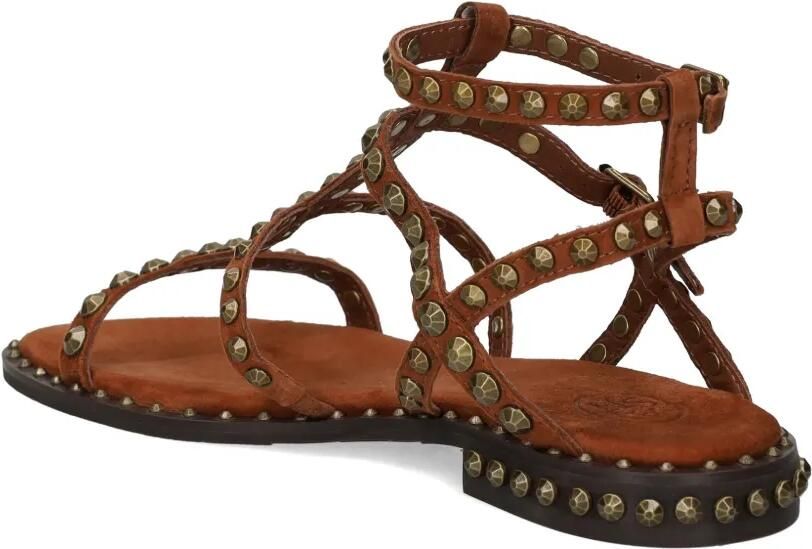 Ash Precious sandalen met studs Bruin - Foto 3