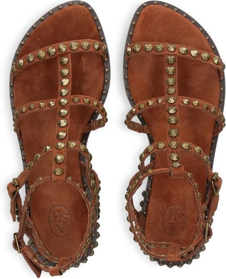 Ash Precious sandalen met studs Bruin - Foto 2