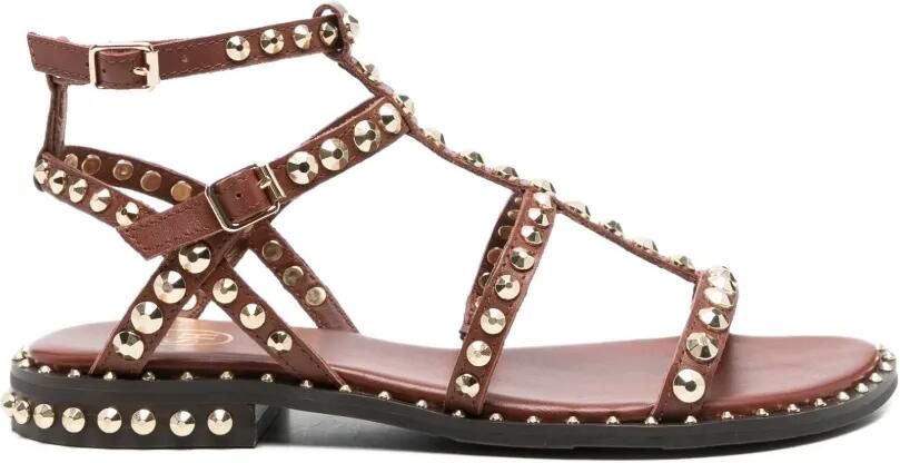 Ash Precious sandalen met studs Bruin